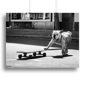 Dogs Just To Have Fun Canvas Print or Poster (Type: Standard Framed Canvas Print, size: 24" x 16" / 60cm x 40cm approx)